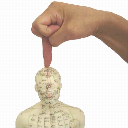 ���z�(xi��ng)Ŀ�����t(y��)��^ָᘯ������_(k��i)ʼ�x�\��